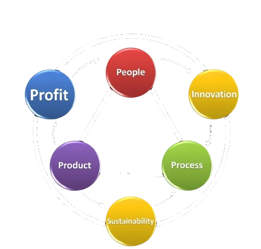The 3 Ps framework: People, Product, and Process driving Profit, Innovation, and Sustainability